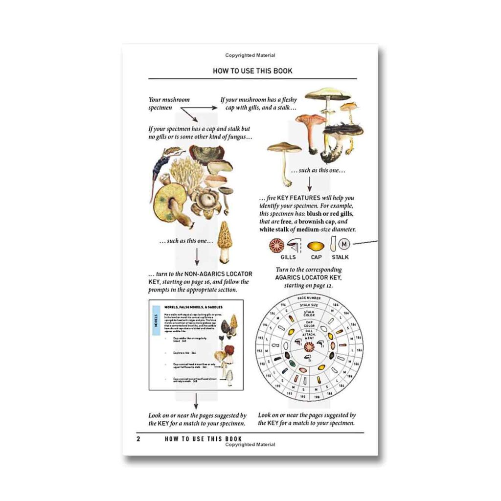 Peterson Field Guide To Mushrooms Of North America Second Edition