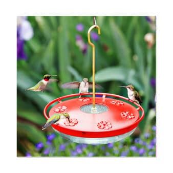 HummZinger HighView Excel 16 oz Hummingbird Feeder, available at The Audubon Shop, the best shop for Hummingbird feeders, Madison CT