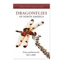 Dragonflies of North America, available at The Audubon Shop, the best shop for bird and nature books, Madison CT