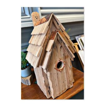 Bluebird Manor Nesting Box Natural, available at The Audubon Shop, the best shop for bird houses, Madison CT