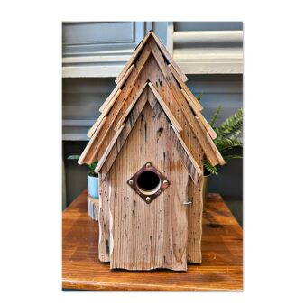 Bluebird Manor Nesting Box Natural, available at The Audubon Shop, the best shop for bird houses, Madison CT